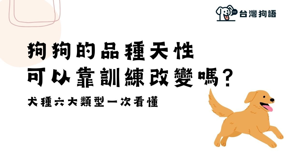 狗狗的品種天性可以靠訓練改變嗎？犬種六大類型一次看懂 - 台灣狗語