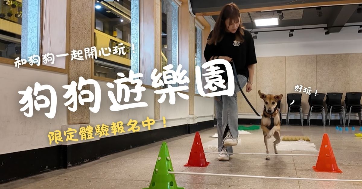 狗狗室內樂園體驗：挑戰關卡、狗界迪士尼來啦！ - 台灣狗語