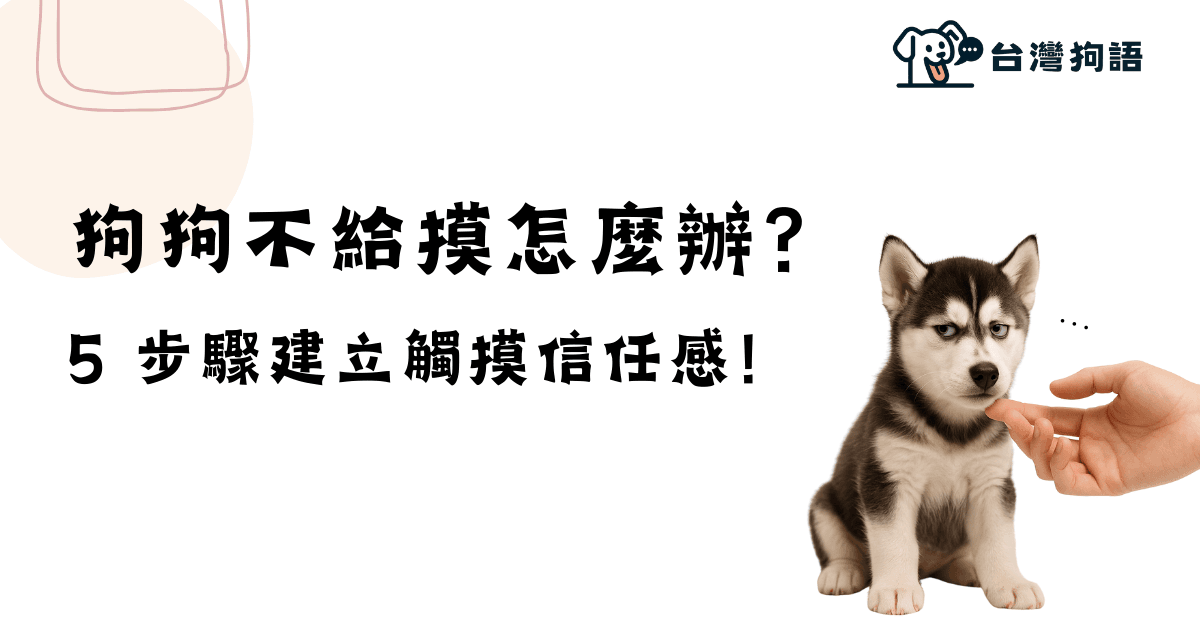 [新手05] 狗狗不給摸怎麼辦？用5步驟建立觸摸信任感 - 台灣狗語