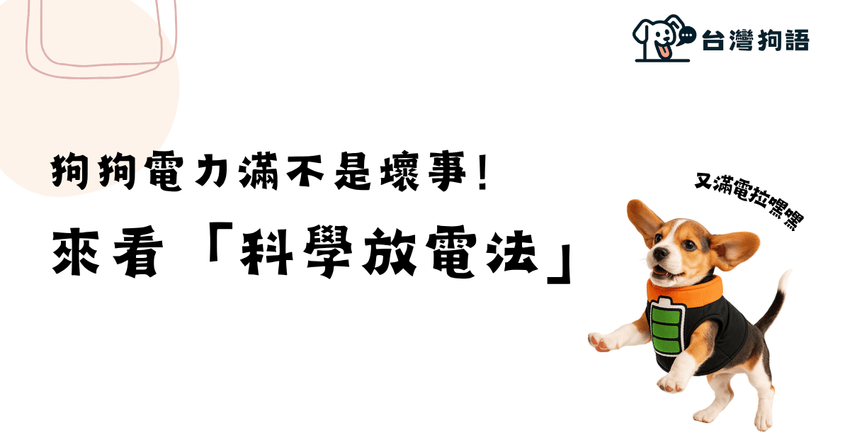[新手06] 狗狗電力滿滿不是壞事！結合行為專家觀點的「科學放電法」 - 台灣狗語