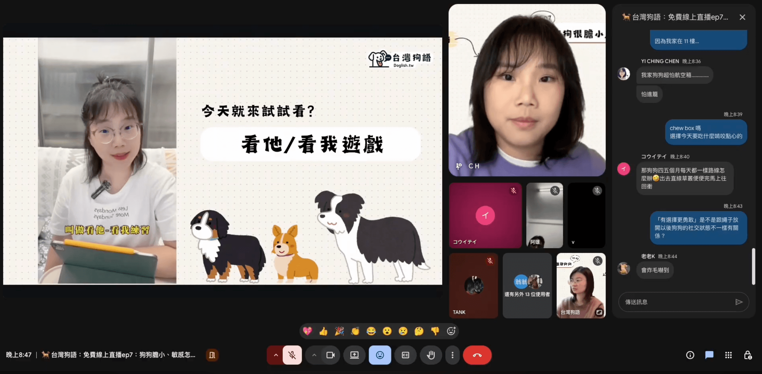 「看他看我」訓練教學：Engage–Disengage 如何改善敏感與爆衝行為 - 台灣狗語