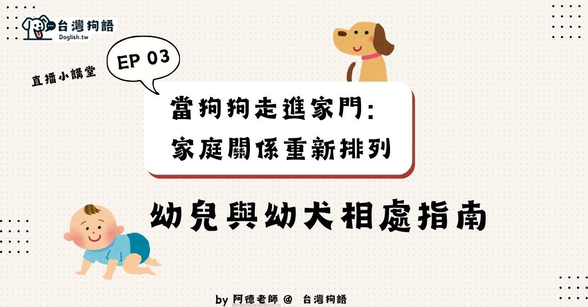 幼兒與幼犬相處指南｜避免咬人、避免壓力、建立安全互動的完整攻略 - 台灣狗語