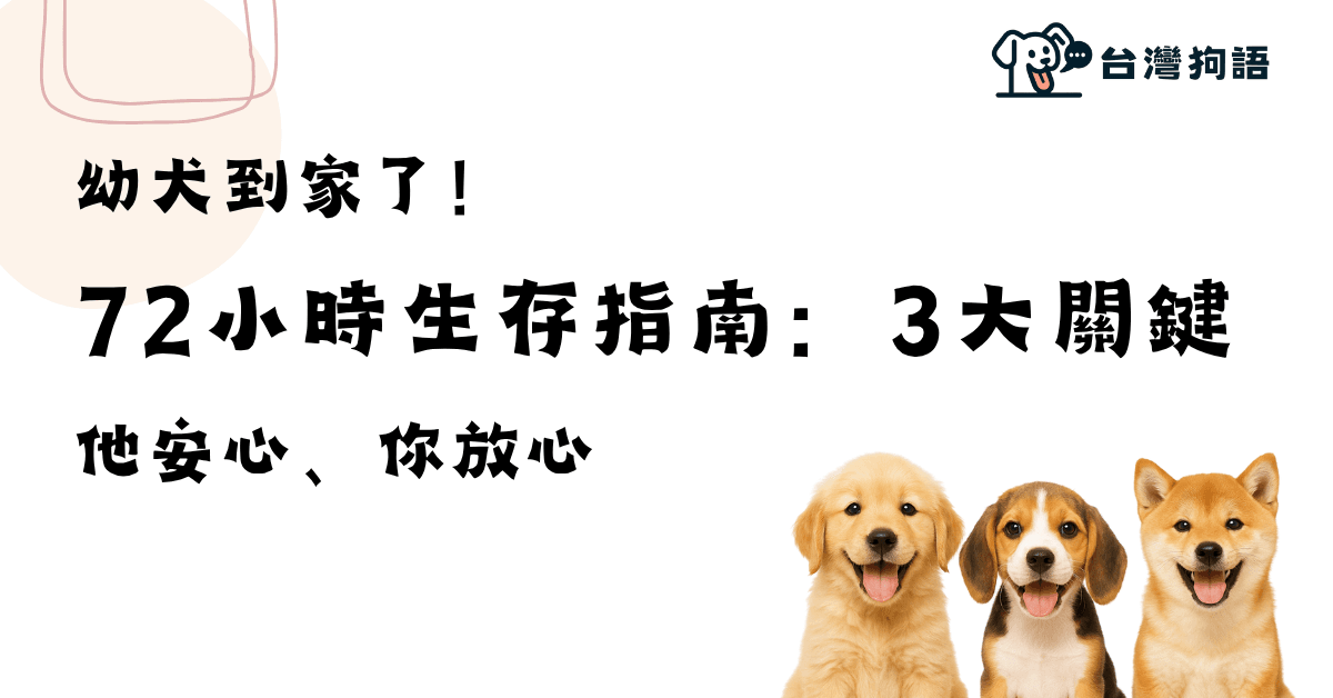 [新手02] 幼犬到家72小時生存指南：3大關鍵讓牠安心、你放心！ - 台灣狗語