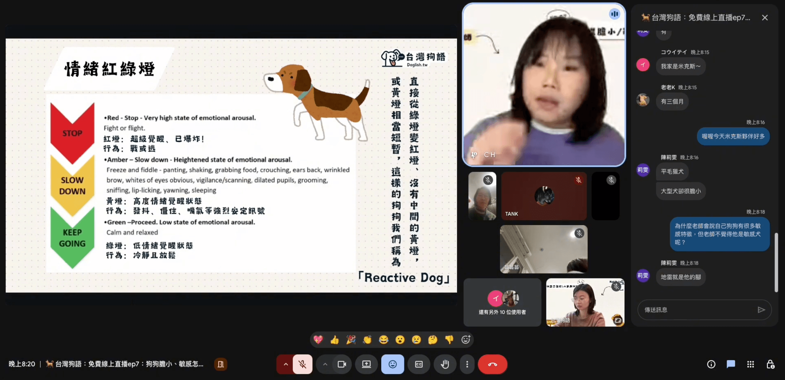 情緒紅綠燈與 Reactivae Dog：怎麼判斷狗狗什麼時候可以訓練？ - 台灣狗語