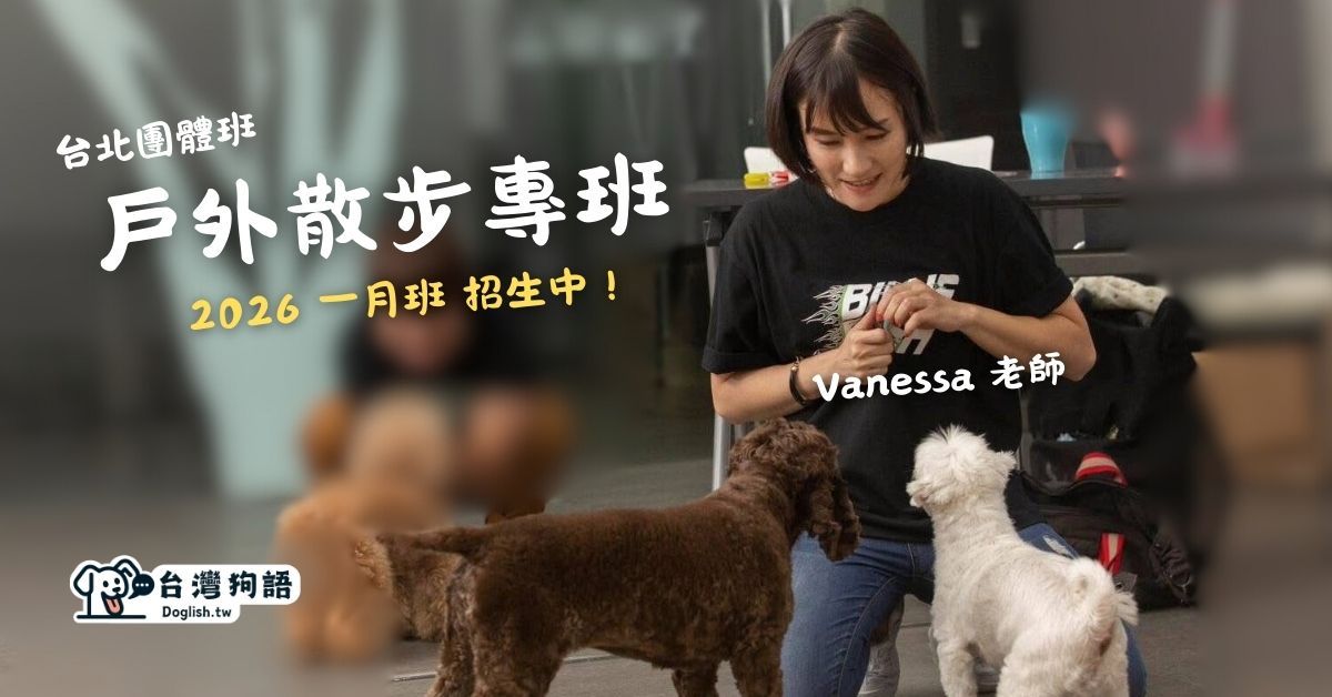 台北 1 月團體班：Vanessa 戶外散步專班（中大型犬、小型犬） - 台灣狗語