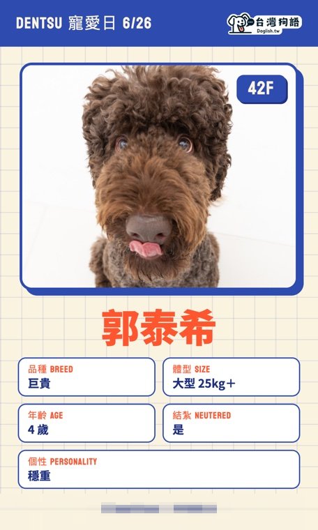 報名毛孩識別證 4