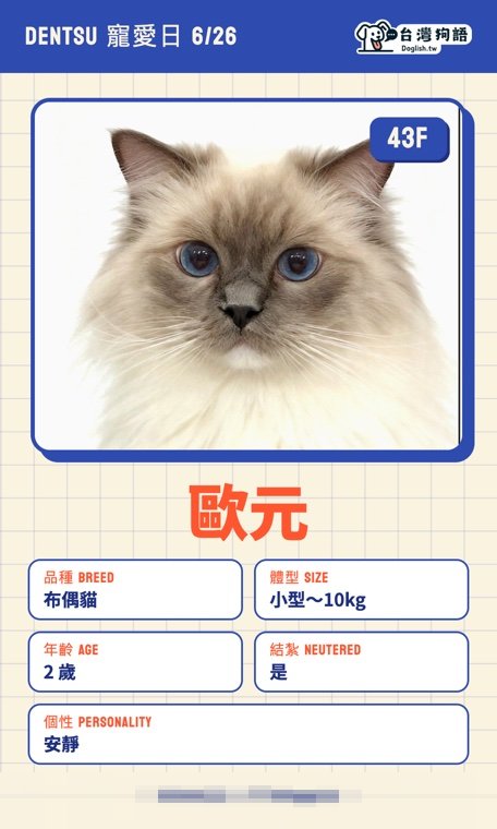 報名毛孩識別證 6
