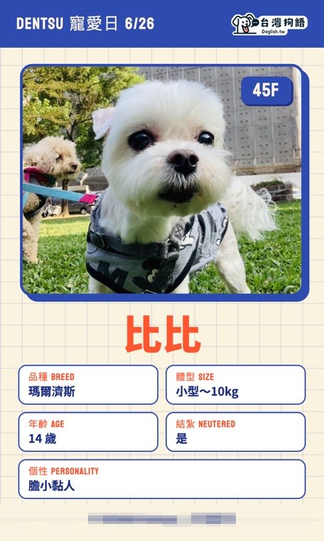 報名毛孩識別證 8