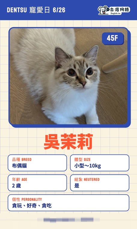 報名毛孩識別證 9
