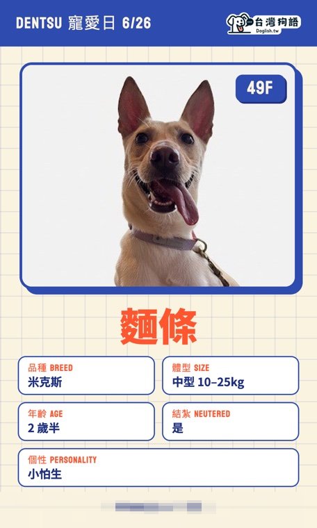 報名毛孩識別證 11