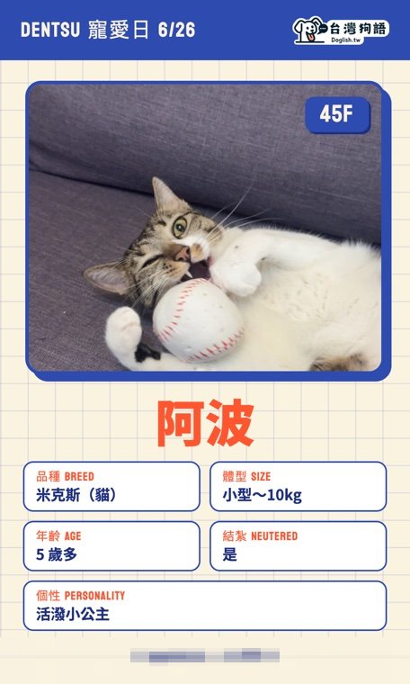 報名毛孩識別證 13