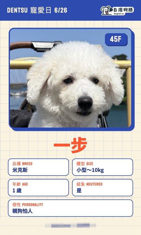 報名毛孩識別證 14