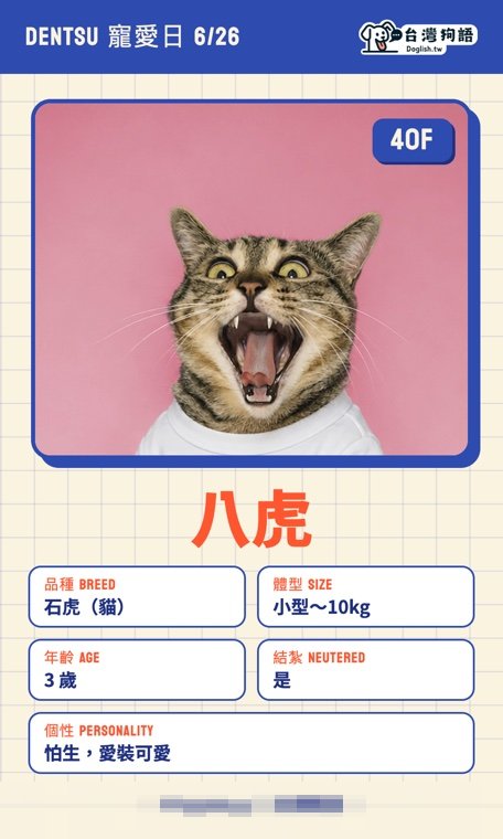 報名毛孩識別證 15
