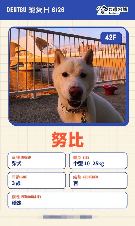 報名毛孩識別證 16
