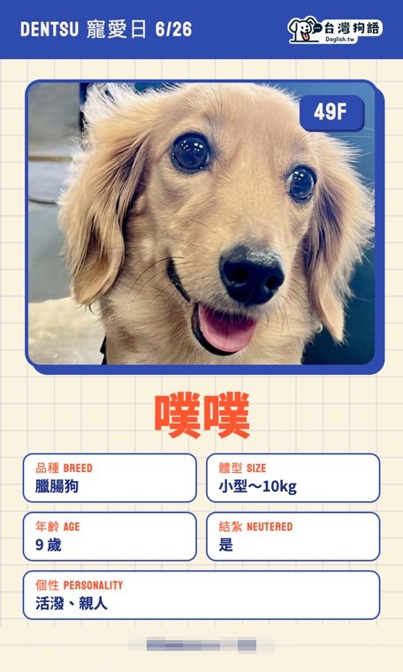 報名毛孩識別證 18