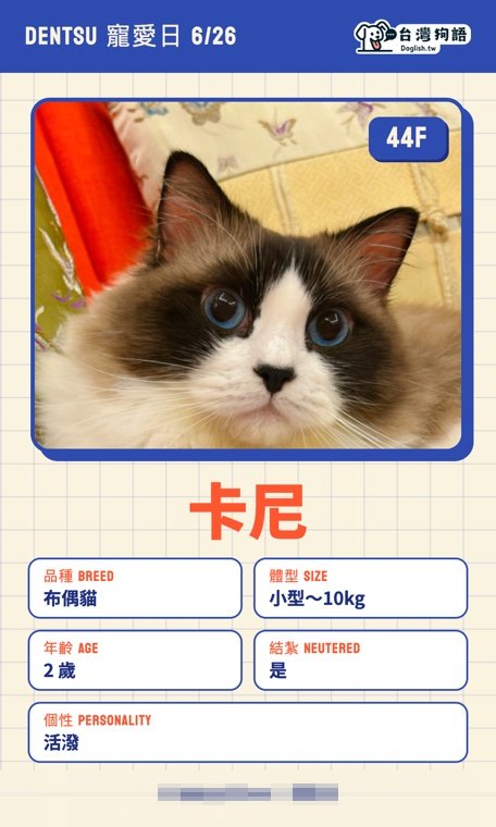 報名毛孩識別證 19