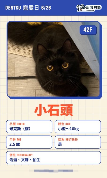 報名毛孩識別證 20
