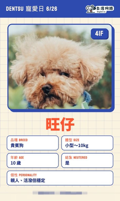 報名毛孩識別證 21