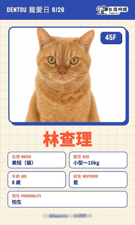 報名毛孩識別證 22