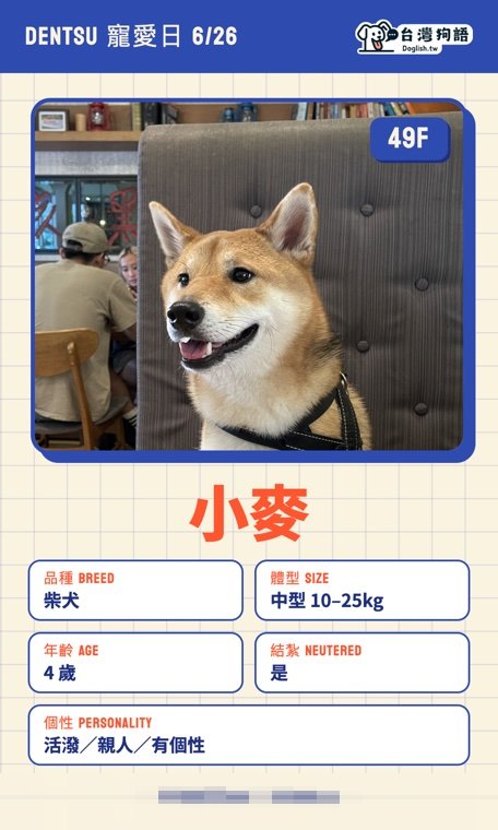 報名毛孩識別證 23