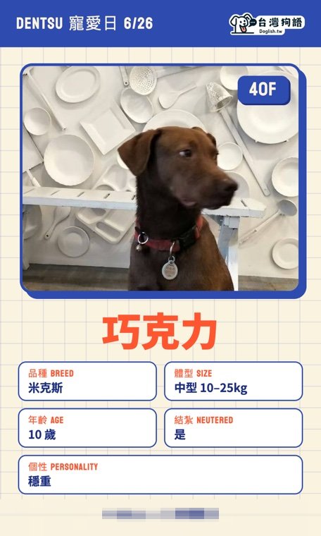 報名毛孩識別證 24