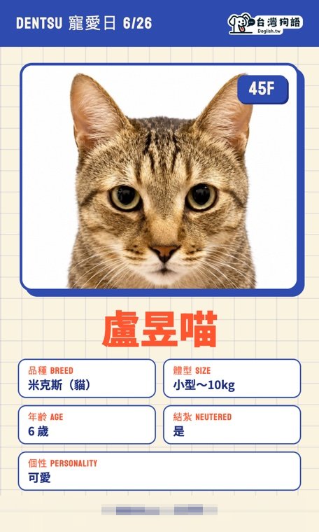 報名毛孩識別證 25