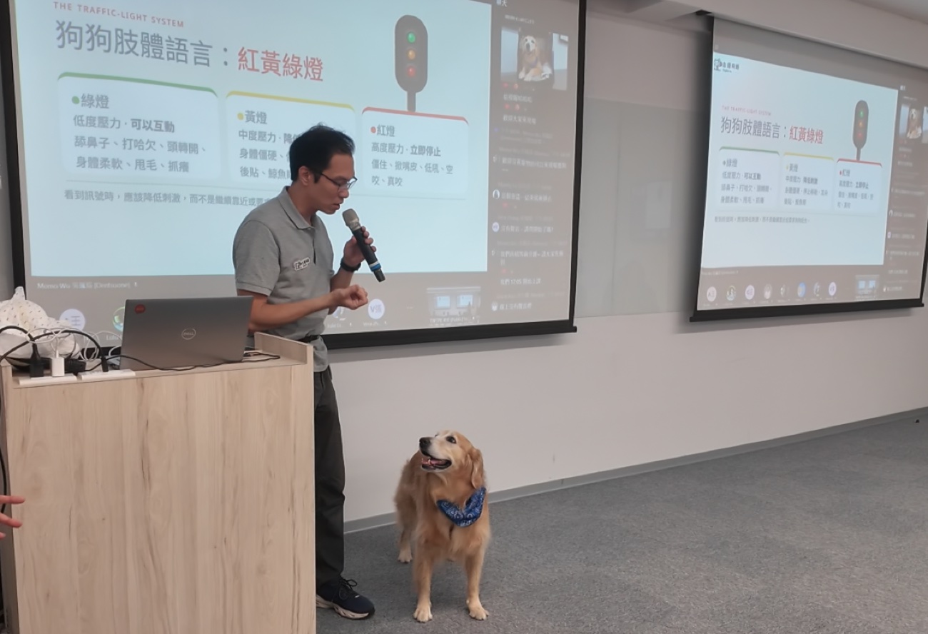 台灣狗語阿德老師講解狗狗肢體語言紅黃綠燈，示範犬黃金獵犬在旁