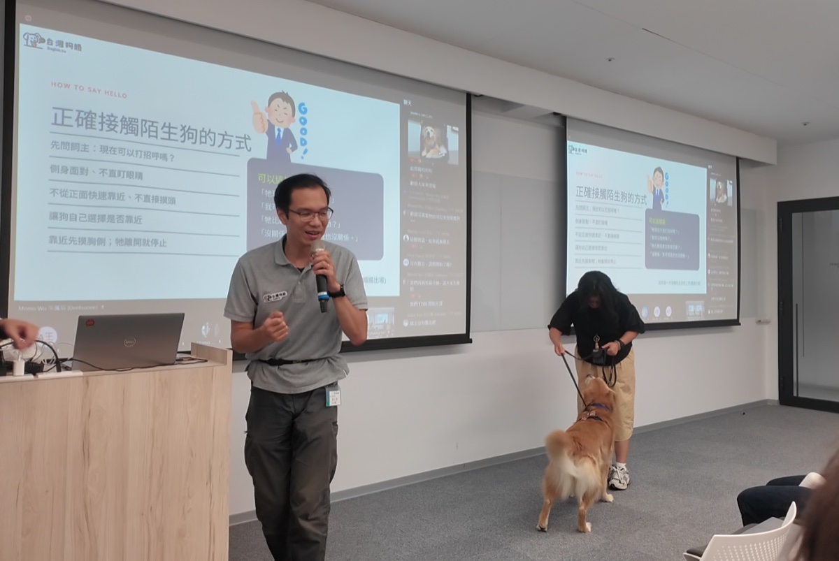 正確接觸陌生狗示範
